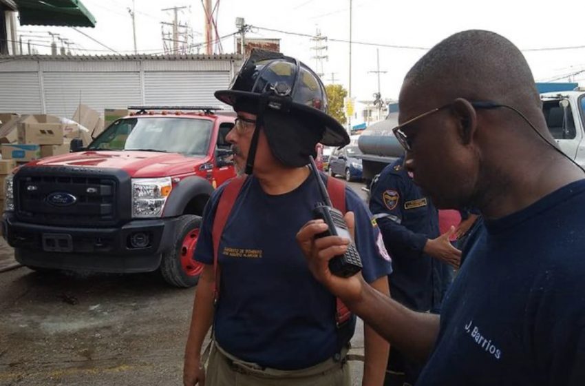 Bomberos De Cartagena Han Atendido 781 Casos De Abejas Háblalo Noticias