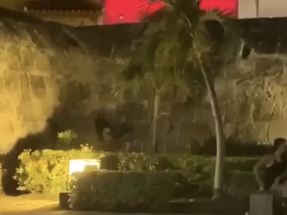 Video] Sorprenden a pareja teniendo sexo junto a la Torre del Reloj de  Cartagena - Háblalo Noticias